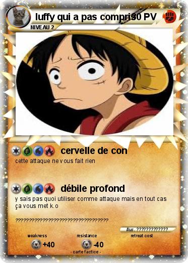 Pokemon luffy qui a pas compris