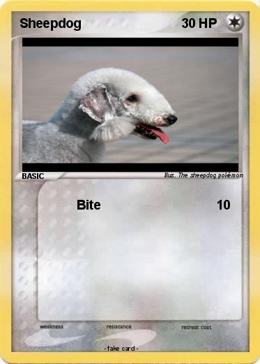 Pokemon Sheepdog