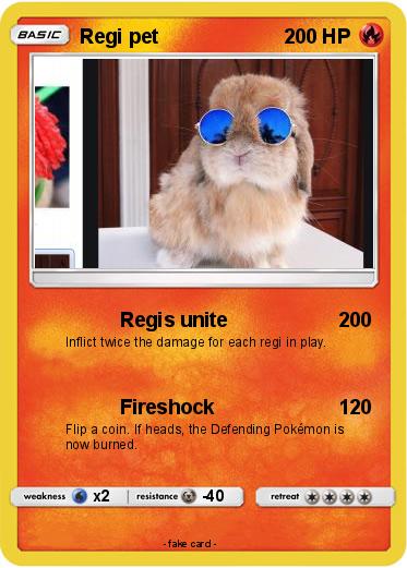 Pokemon Regi pet
