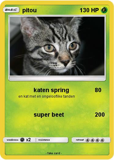 Pokemon pitou