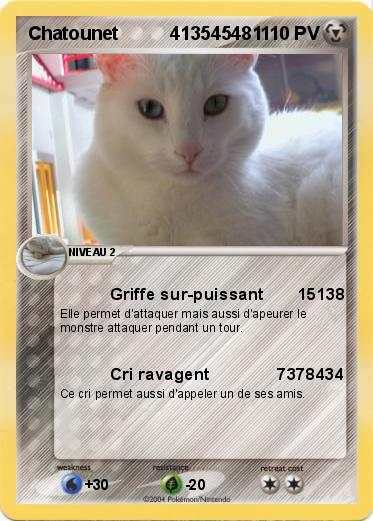Pokemon Chatounet          413545481