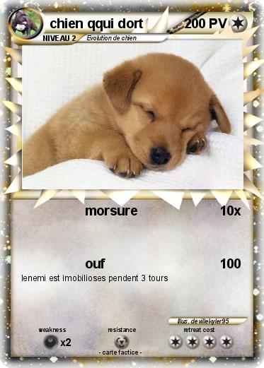 Pokemon chien qqui dort