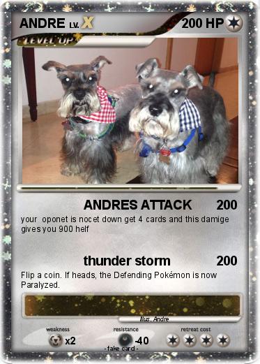 Pokemon ANDRE