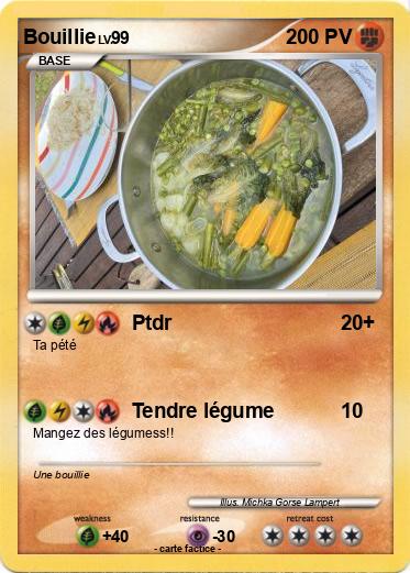 Pokemon Bouillie