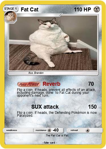 Pokemon Fat Cat