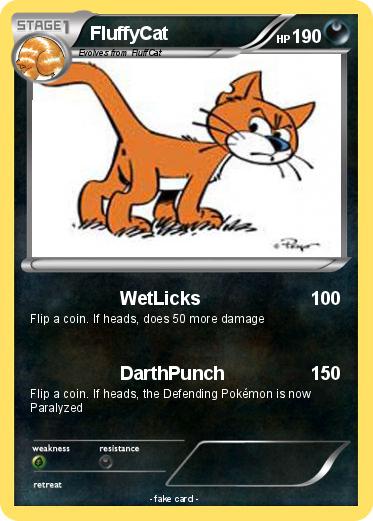 Pokemon FluffyCat