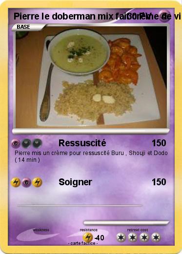 Pokemon Pierre le doberman mix fait crème de vie