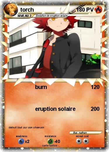 Pokemon torch