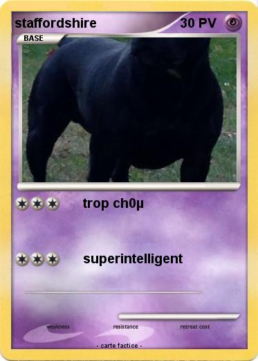 Pokemon staffordshire