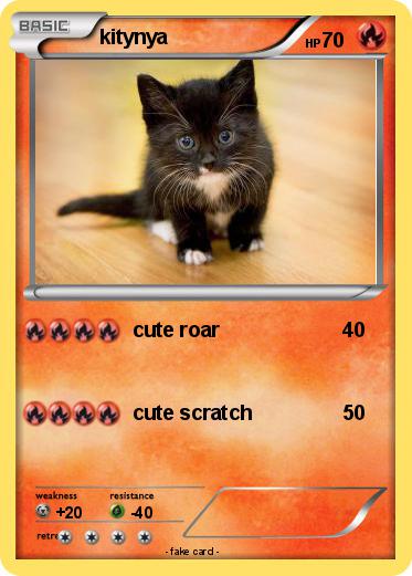 Pokemon kitynya