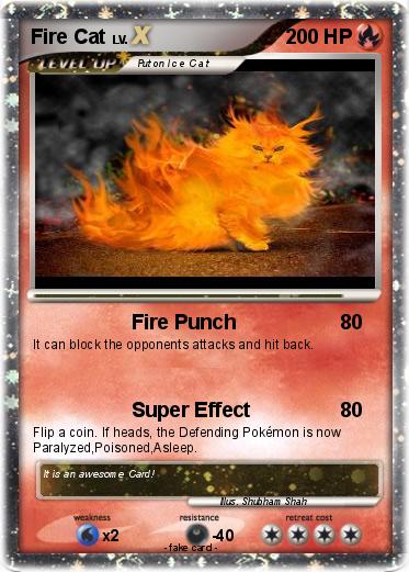 Pokemon Fire Cat