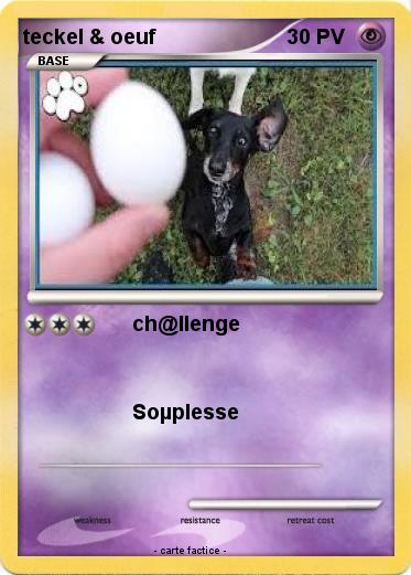 Pokemon teckel & oeuf