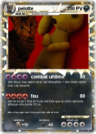 Pokemon pelotte