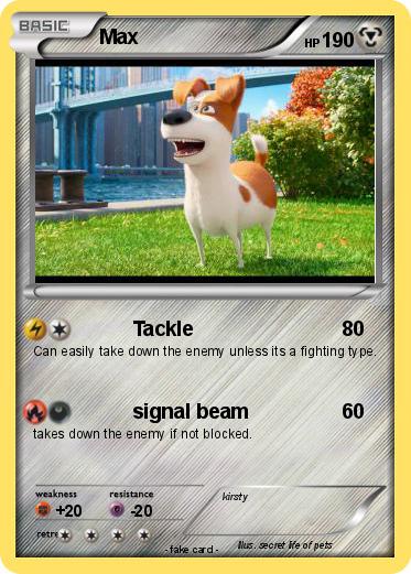 Pokemon Max