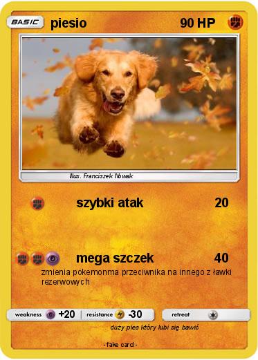 Pokemon piesio