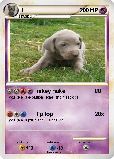 Pokemon tj