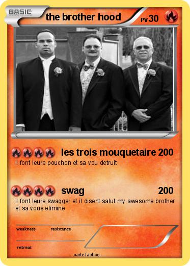 Pokemon the brother hood