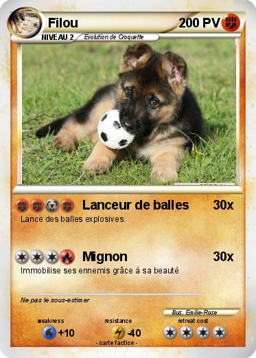 Pokemon Filou