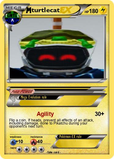 Pokemon turtlecat
