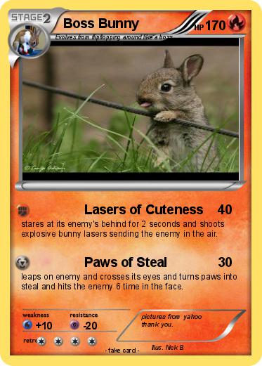 Pokemon Boss Bunny
