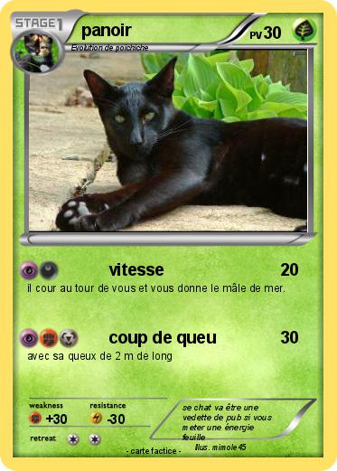 Pokemon panoir
