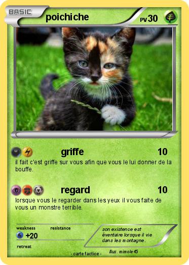 Pokemon poichiche