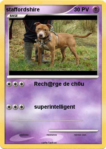 Pokemon staffordshire