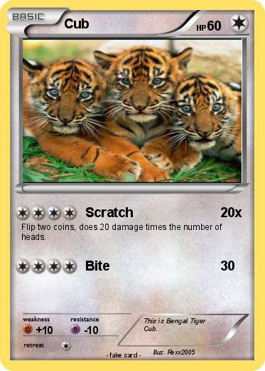 Pokemon Cub