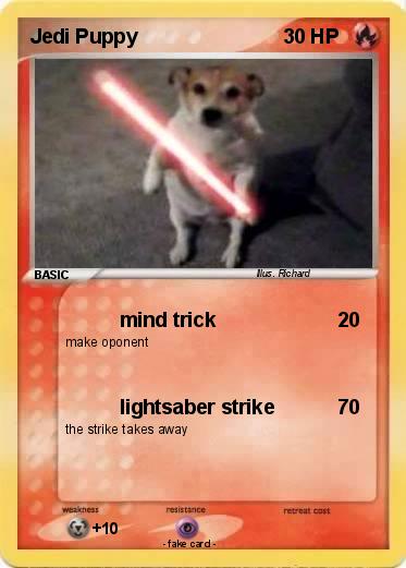 Pokemon Jedi Puppy