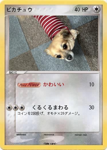 Pokemon ピカチュウ