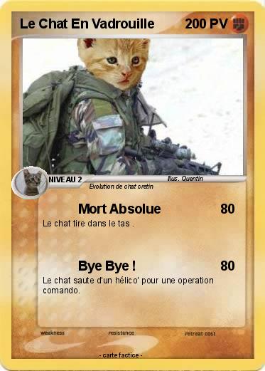 Pokemon Le Chat En Vadrouille