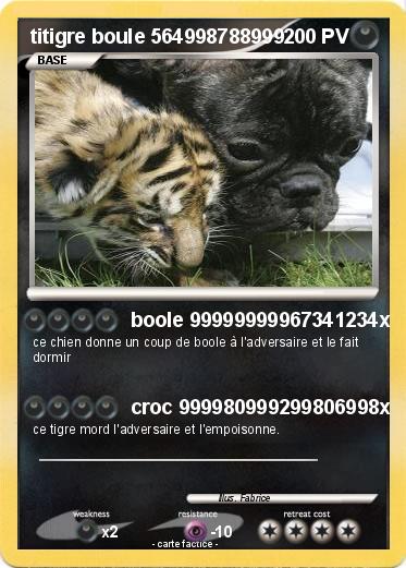 Pokemon titigre boule 564998788999