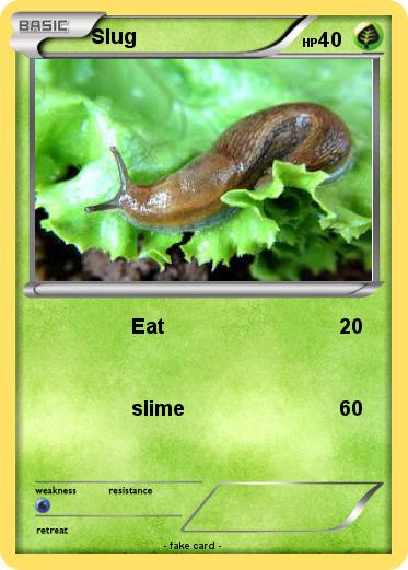 Pokemon Slug
