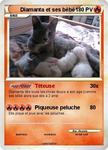 Pokemon Diamanta et ses bébé
