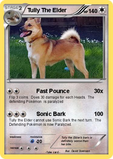 Pokemon Tully The Elder