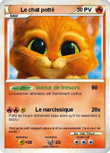 Pokemon Le chat potté