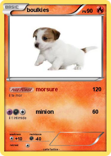 Pokemon boulkies