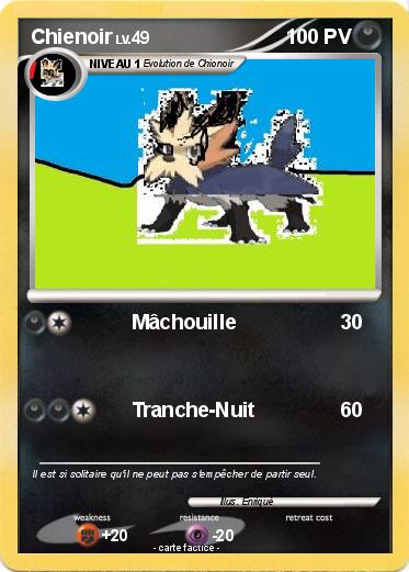 Pokemon Chienoir