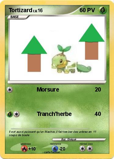 Pokemon Tortizard