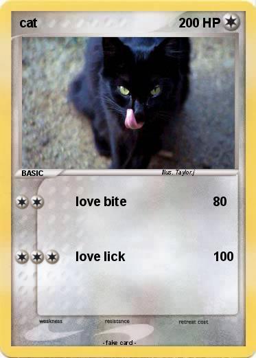 Pokemon cat