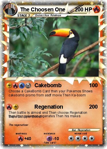 Pokemon The Choosen One