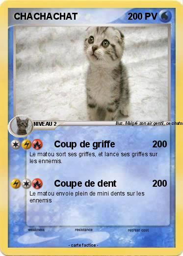 Pokemon CHACHACHAT