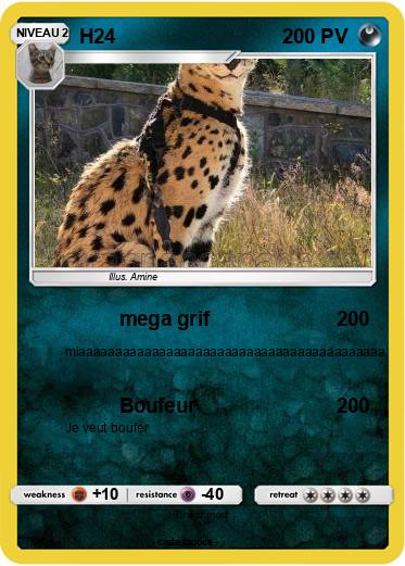 Pokemon H24