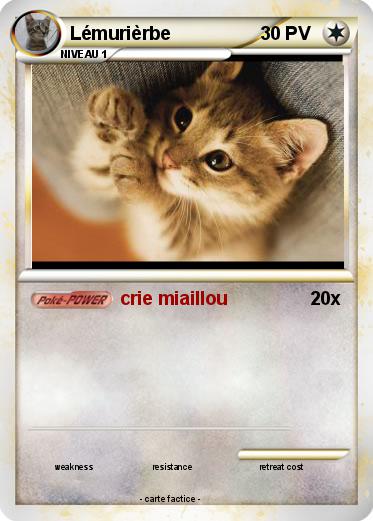 Pokemon Lémurièrbe