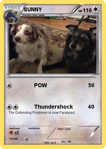 Pokemon SUNNY