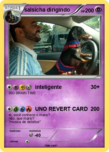Pokemon salsicha dirigindo