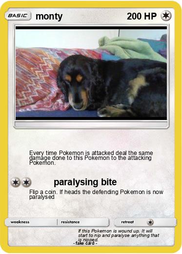 Pokemon monty
