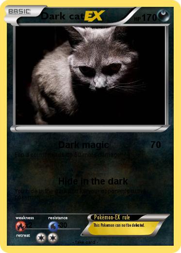 Pokemon Dark cat