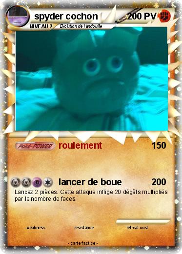 Pokemon spyder cochon