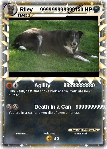 Pokemon Riley     999999999999